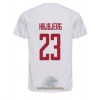 Officiële Voetbalshirt Denemarken Pierre-Emile Hojbjerg 23 Uit WK 2022 - Heren